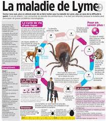 De plus, consultez de l'information sur la surveillance et des directives destinées aux professionnels de la santé. Borreliose Et Maladie De Lyme Medecine Integree