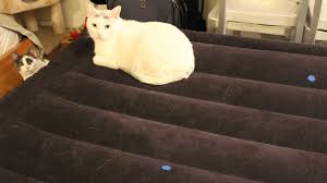 Patch A Hole In An Air Mattress Air Mattress Diy Air Mattress Patch Air Mattress