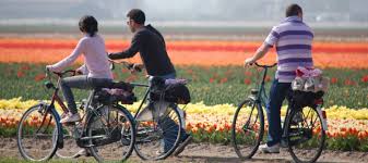 Hollandbikeshop.com hat das hinterrad, das sie suchen! Niederlande Radrundreise Ab Bunnik Uber Amsterdam Den Haag Rotterdam Und Gouda 7 Ubernachtungen Buchen