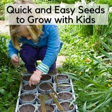 Growing plant seeds with kids. Quick And Easy Seeds To Grow With Kids And First Time Gardeners
