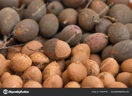 Image result for Dialium