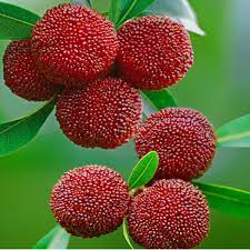 Pin On X2 Fruits