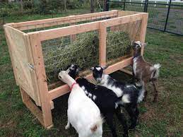 89 Goat Pen Ideas In 2021 Goat Pen Goat Barn Goat Shelter