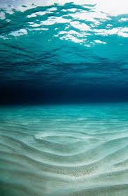 Foto Gaceta Sea And Ocean Ocean Sea Floor