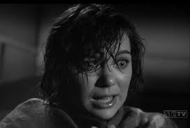 Perry Mason" The Case of the Mythical Monkeys (TV Episode 1960)