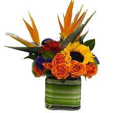 Same day delivery, low price guarantee.send flowers, baskets, funeral we offer flower delivery in caldwell county, mo to the following zip codes in an award winning gift box and through our affiliated local florists in and around. Bird Of Paradise Floral Cube Canton Flowers Cathy Cowgill Flowers