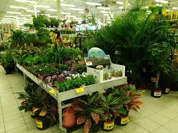 Maybe you would like to learn more about one of these? Canadian Tire 13 Photos 37 Reviews Department Stores 1019 Sheppard Avenue E Toronto On Phone Number Yelp