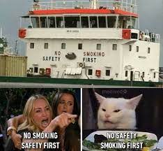 Passionate Scorpio Misssquirrel Quesitor Catsbeaversandducks Funny Relatable Memes Crazy Funny Memes Funny Memes