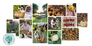 An evening with Waggle & Forage