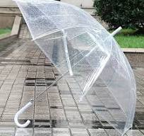Large Transparent Clear Dome See Through Umbrella With White Handle New