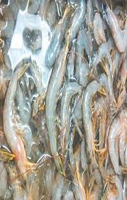 Was on mon 16 nov (height: Xkxuo7po3b3m2m