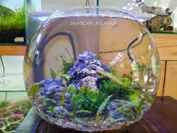 Owner Mbak Yanti Matur Nuwun Mbak Sudah Langganan Dr Pertama Kali Kalau Dekor Pasti Ke Mabes Javascape Aquarium Yg Mau Di Dekorkan Kaya Gini Bisa Wa 0821 389