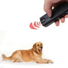 Ultrasound is a frequency of sound too high to be heard by humans. Does Electronic Pest Control Hurt Dogs Pest Control Diagram