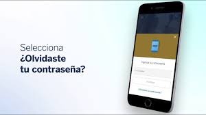 Por favor ingresa con tu usuario y contraseña aquí abajo o haz clic en crear usuario para registrar una cuenta en dtforum y comenzar a participar de esta enorme comunidad. Como Cambiar Mi Contrasena De Bbva Movil Youtube