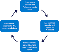 Review and report on the public accounts of malaysia. The Role Of Supreme Audit Institutions In Fighting Corruption