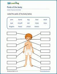 Body parts pictures for classroom and therapy ankle, aorta, back, backwards, bite, blue+eyes, body, body parts, bone, brain, brown eyes, butt, calf, calves, cartoon eyes cerebellum, cheek, cheeks, chin, dimples, ear, earache ealobe, ears, elbow, eye, eyebrow, eyelash, eyelid, eyes, finger Human Body Parts Worksheets K5 Learning