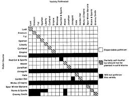 66 systematic grafting compatibility chart fruit trees