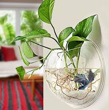 Maybe you would like to learn more about one of these? 25 Ide Kreatif Model Taman Hidroponik Buatnya Mudah