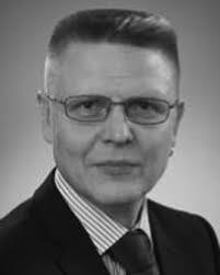 Approaches to improve the biocompatibility and systemic circulation of  inorganic porous nanoparticles