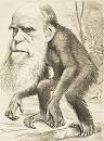 Image result for ‫مهم ترین اشکال نظریه داروین‬‎