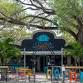 Cariies LIVE at Ozona Brewing Co event image