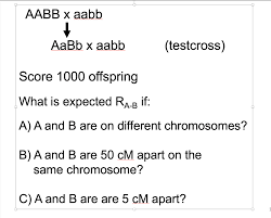 Bounding box définie par ses limites. Solved Aabb X Aabb Aabb X Aabb Testcross Score 1000 Off Chegg Com