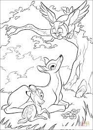 Color our free owl coloring page for adults that's a realistic barn owl coloring page. Bambi His Mom And Owl From Bambi Coloring Pages Bambi Coloring Pages Coloring Pages For Kids And Adults