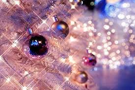 Image result for christmas holiday pictures
