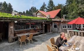 Image result for Coombs