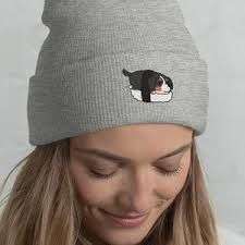 Cappello da baseball per cani: cappello per bovaro bernese, berretto  semplice e carino, regalo per gli amanti dei cani