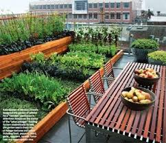 Growveg Inspiration Gartnern Mit Wenig Platz Hintergarten Dachgarten