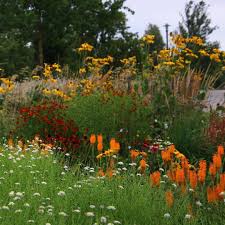 Petra Pelz On Instagram Fruchtige Fabkombination In Den Garten Der Welt Dem Ehemaligen Iga Gelande In Berlin Zur Gartenschau S Outdoor Pumpkin Patch Border