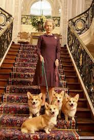 16 facts about corgis queen elizabeth ii corgi pembroke welsh corgi welsh corgi