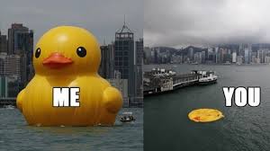 Rip Giant Rubber Duck In Hong Kong Memebase Funny Memes