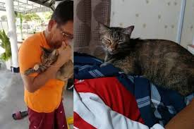 We did not find results for: Wanita Terkejut Bapa Menangis Seperti Hilang Anak Selepas Kucingnya Mati Tengok Bekas Makanan Pun Emosi Saya Nikah Pun Abah Tak Nangis Sampai Macam Ni Viral Mstar