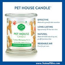 Candlewic is focused on candle making and is committed to serving all of our customers. Pet House Candles All Fur One Review