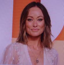 The Old Youghal Bridge