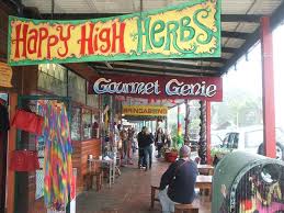 Check spelling or type a new query. Pin On Gypsies Hippies