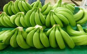 Other articles where cavendish banana is discussed: Cavendish Banana Plutusfarming