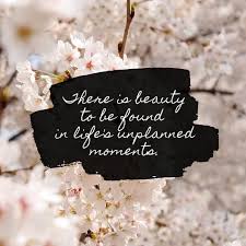 May 22, 2017 · when a shopping trip is unplanned, the chances for an unplanned purchase occurring rise by over 20%. Finding Beauty In Life S Unplanned Moments Katie M Reid
