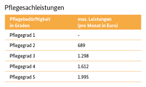 Ambulanter Pflegedienst Und Pflegesachleistungen