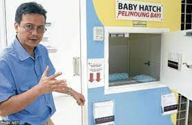 For lovers of nature and all things cute, witnessing a turtle hatchling is an unforgettable experience. Orphancare Plans To Set Up More Baby Hatches Malaysia