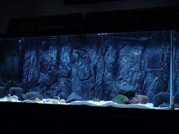 3d Aquarium Backgrounds Pixelstalk Net In 2021 Aquarium Backgrounds African Cichlid Aquarium Aquarium