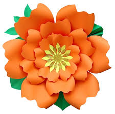 They re accustomed to online on cell phones to consider image information being a concept. Catalogo De Flores Gigantes Flores De Papel