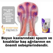 Fromus Power Pain Band Nedir Panosundaki Pin
