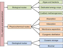 This paper presents a first comprehensive comparison of environmental impacts of carbon capture and storage (ccs) and carbon capture and utilisation (ccu) technologies. The Progressive Routes For Carbon Capture And Sequestration Nanda 2016 Energy Science Amp Engineering Wiley Online Library