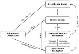 Acos asin atan acot asec acsc hyperbolic functions: Frontiers Climate Change Effects On Aquaculture Production Sustainability Implications Mitigation And Adaptations Sustainable Food Systems