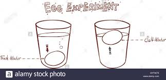 float egg freshness test stock vector