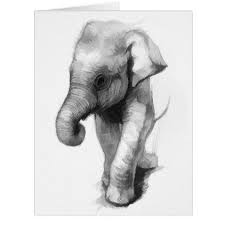 Elephant Baby Zazzle Com In 2021 Elephant Sketch Realistic Animal Drawings Elephant Art