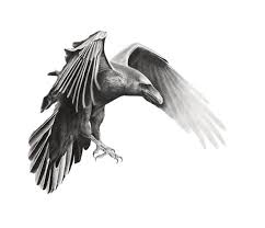 Adam Całus (adamcaus)